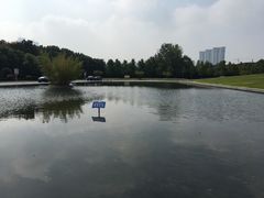 -金陵图书馆