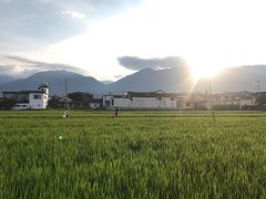 -喜洲翰林餐厅(董家百年老宅店)