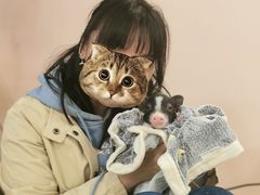 -浣熊柯尔鸭土拨鼠·电玩咖