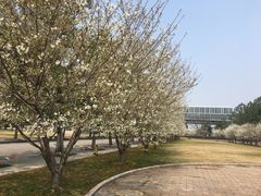 -同济大学(嘉定校区)