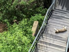 -布德瓦老城