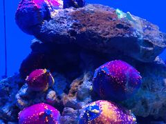 -青岛海底世界-水族馆