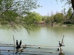 -长兴太湖图影湿地文化园