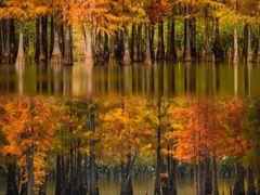 -白鹭湾湿地公园