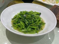 -丁老爷子苏香圆