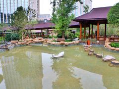 -万象温泉景区