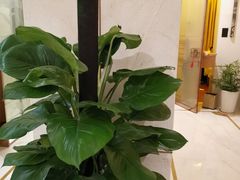 -华夏良子·足道SPA艾灸(三里屯店)