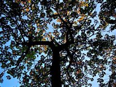 -重庆雨台山风景区