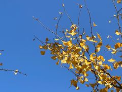 -德大西餐社(云南南路店)