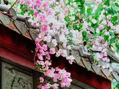 -深圳国际园林花卉博览园