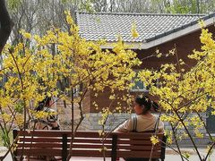 -大兴滨河森林公园