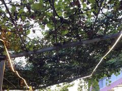 -伊隆斋(什刹海店)