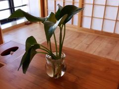 -指宿行馆·日式SPA(中环店)