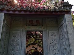 -深圳国际园林花卉博览园