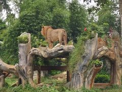 -海南热带野生动植物园