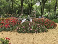 -上海鲜花港
