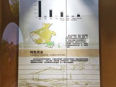 -河南自然博物馆