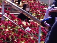 -上海港国际客运中心