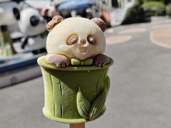 -青藏高原野生动物园
