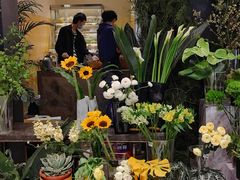 -PlantsEatery·植物食堂(REX春熙店)