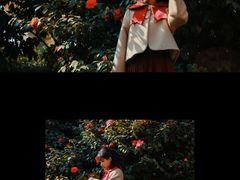-龙头寺公园