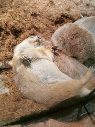 -Zoolung Zoolung动物主题公园(海信广场店)