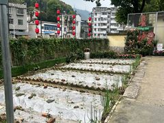 -湘力力小院·鱼汤泡饭(枫林路店)