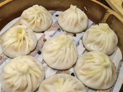 -莱莱小笼·乔艾