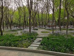 -塘沽森林公园
