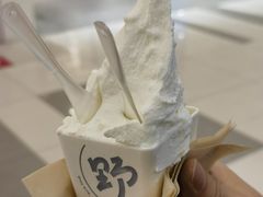 -野人先生Gelato(上海长宁龙之梦店)