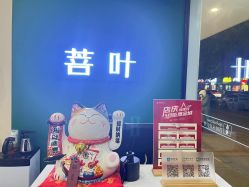 -菩叶脱发白发中心