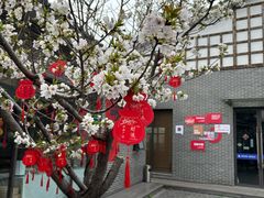-菊园百果园