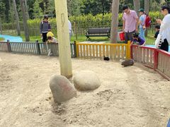 -合肥滨湖国家森林公园