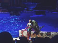 -大连圣亚海洋世界