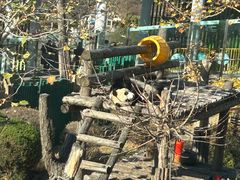 -大连森林动物园