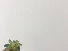 -鲜力达果品批发直销(青山店)