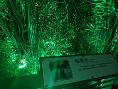 -苏州河梦清园环保主题公园