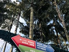 -海合安成都极地海洋公园