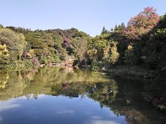 景点-云溪植物园