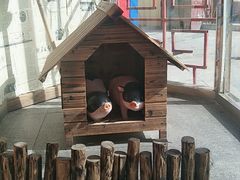 -王村姑老土炕莜面村(张北店)