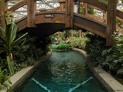 -南宫五洲植物乐园