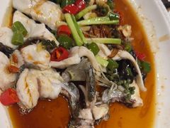 -龙悦湾酒家·八阵鱼生·渔人码头店