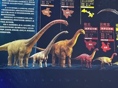 -天津自然博物馆