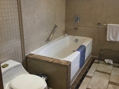 -圣爵菲斯大酒店(长沙世界之窗店)