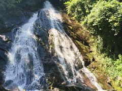 -秦岭终南山世界地质公园翠华山景区