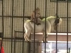 -广东茂名森林公园