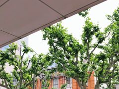 -功德林(南京西路店)