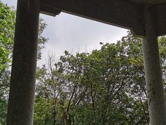 -午潮山国家森林公园