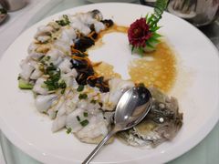 清蒸桂花鱼-华南师范大学石牌校区陶园