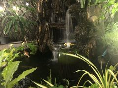 -Arunda oriental massage